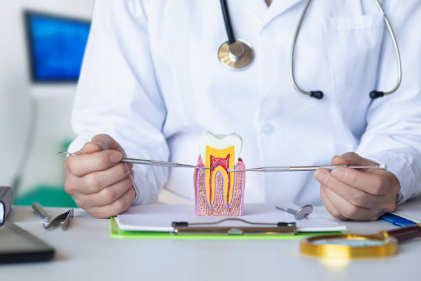 Best Tooth Pain Emergency Relief  in Seneca, SC